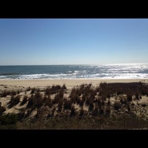 Meet your Posher, Deisy